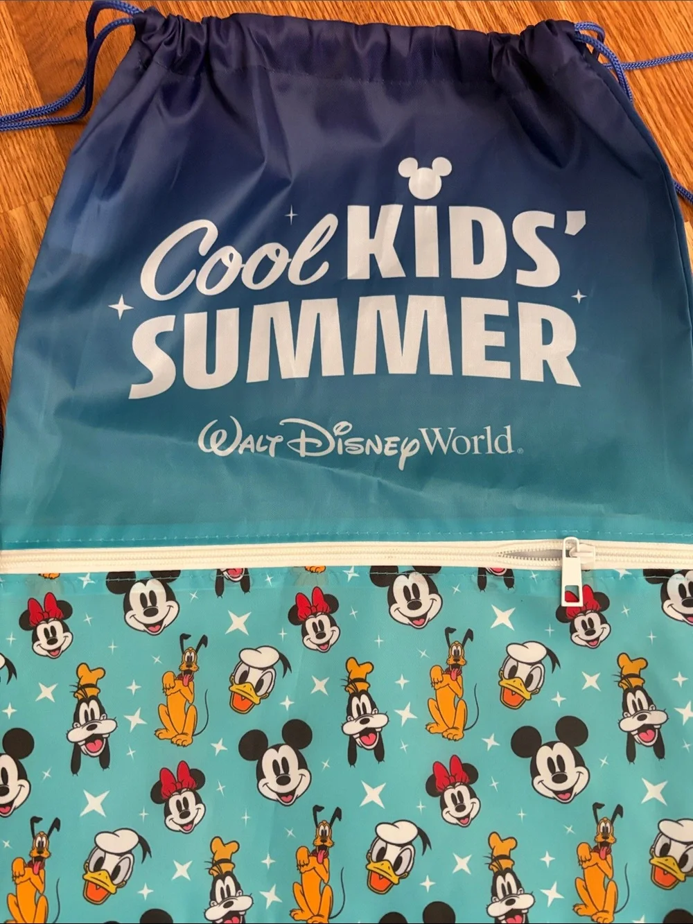 Disney Blue Teal